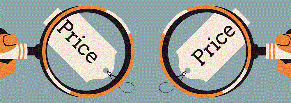 How much do Computer Programming and Application Development Services cost?